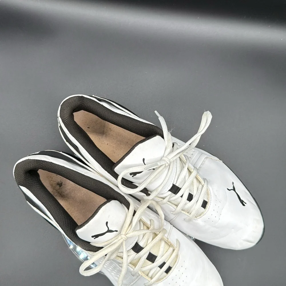 Puma Men's Viz Runner Sneaker 191037-01 White/Black